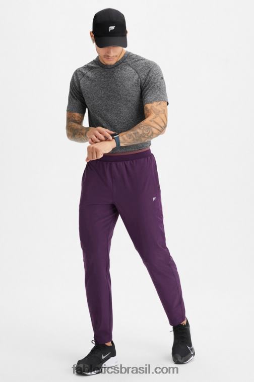 Fabletics vinho com canela 420HR3071 a calça fundamental homens