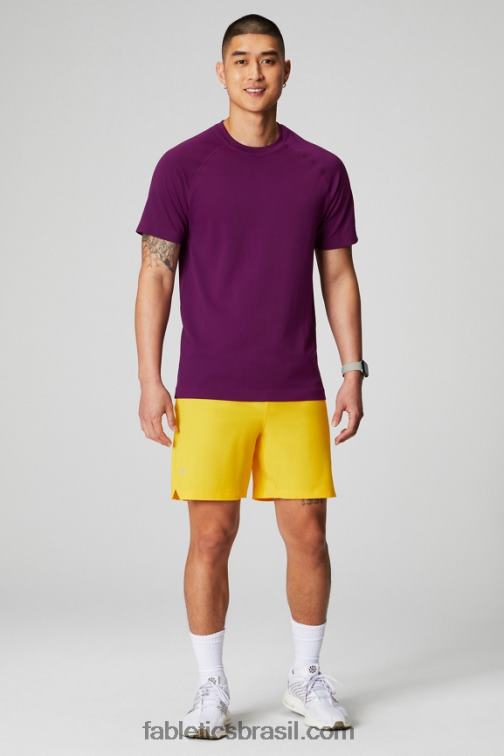 Fabletics beringela 420HR3458 o tee do dia de treinamento 174 homens