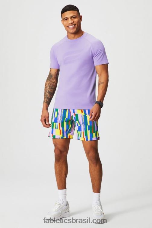 Fabletics icônico lavanda dois tons f 420HR3549 o tee do dia de treinamento 186 homens
