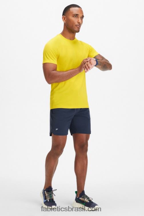 Fabletics ouro do deserto 420HR3483 o tee do dia de treinamento 179 homens