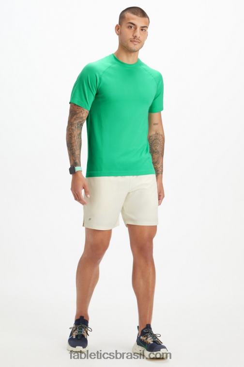 Fabletics verde essencial 420HR3487 o tee do dia de treinamento 180 homens