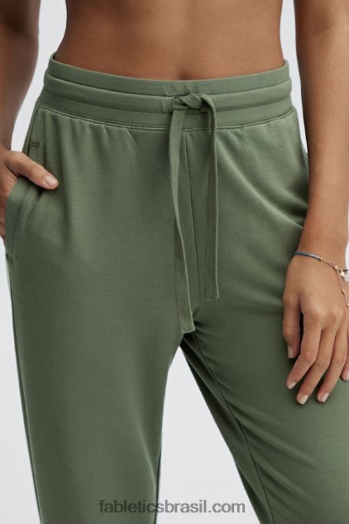 Fabletics cereja clássica/prata reflexiva 420HR143 go-to jogger cônico mulheres