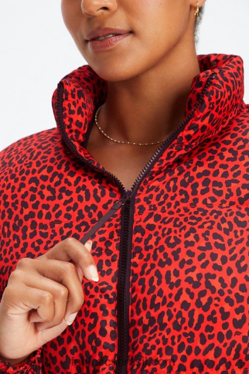 Fabletics elétrico cereja clássico leopardo/logotipo preto 420HR2773 vagabundo baiacu cortado mulheres