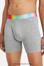 Fabletics arco-íris cinza médio htr 420HR3780 a cueca boxer orgulho 24-7 homens