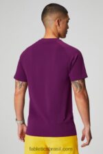 Fabletics beringela 420HR3458 o tee do dia de treinamento 174 homens - Image 2