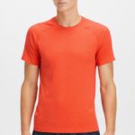 Fabletics chama brilhante 420HR3482 o tee do dia de treinamento 179 homens
