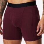 Fabletics Merlot 420HR3765 a cueca boxer 24-7 198 homens