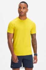 Fabletics ouro do deserto 420HR3483 o tee do dia de treinamento 179 homens