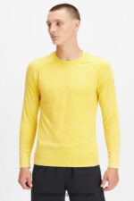 Fabletics ouro lavado do deserto 420HR3574 the training day camiseta manga longa homens